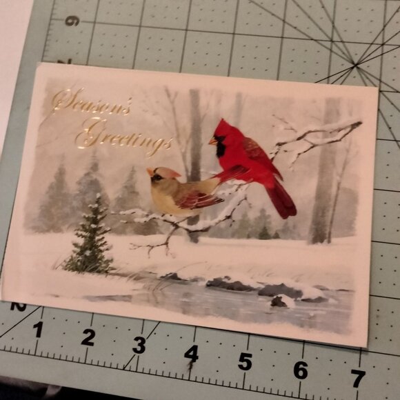 Blank Christmas Card Seasons Greetings Cardinal Birds Envelope Holiday - Picture 4 of 7